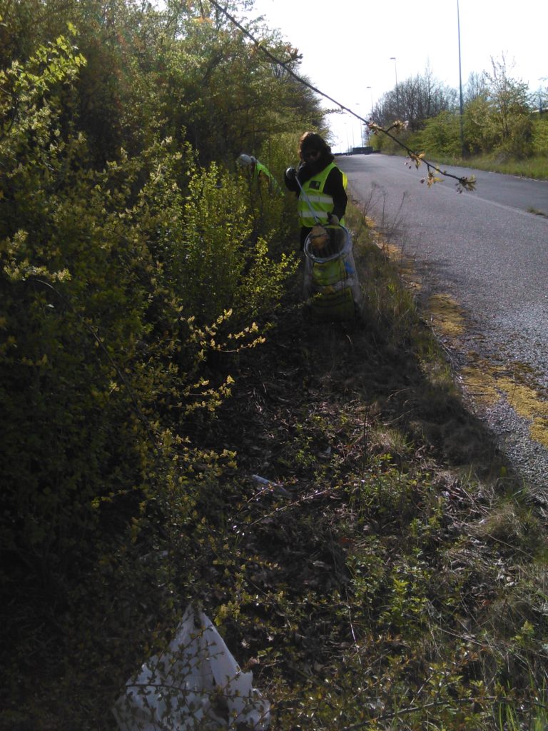 Der var også rigeligt at hente i buskaser ved Høje Taastrup station.